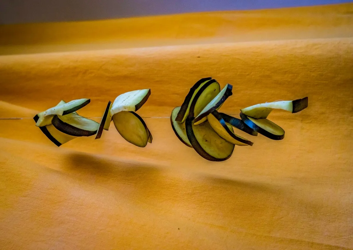 Slices of eggplant clipped along a thin line against a warm background